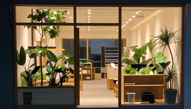 技术研究方案设计中的应用场景选择与优化建议